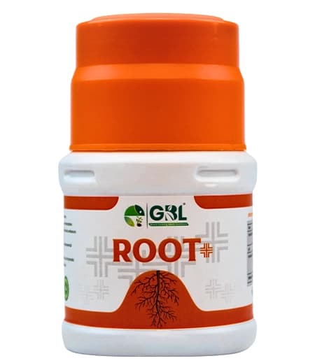 GBL Root+ Vesicular Arbuscular Mycorrhiza, Enhanced Root Growth, Nutrient Uptake And Soil Health - Image 1