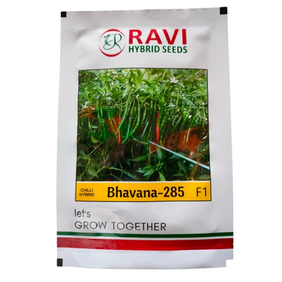 Ravi Seed F1 Hybrid Bhavana 285 Chilli Seed, Thin And Medium Fruit Shape, Red Color Fruit of Mature Time
