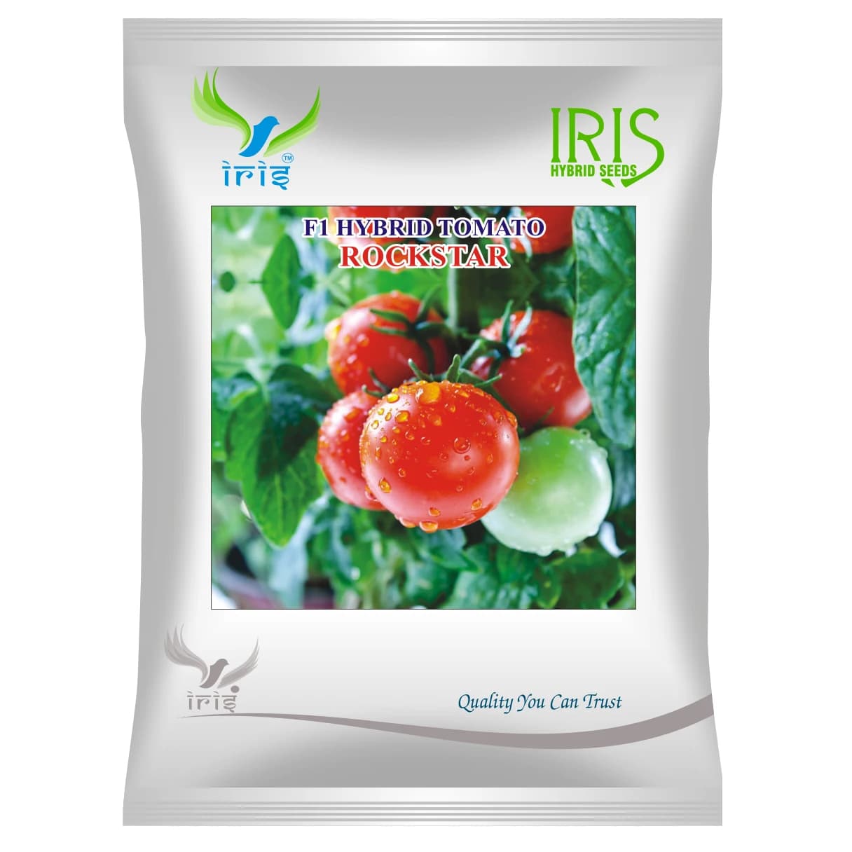 Iris ROCKSTAR F1 Hybrid Tomato Seeds, Early Maturing, TYLCV & Bacterial Wilt Tolerant, Suitable For All Seasons - Image 1