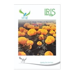 Iris IHS-303 F1 Hybrid Yellow Marigold Seeds, Ball-Shaped, Yellow Flower And High Yield Variety 1