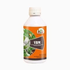 EBS All Expert (Verticillium Lecanii + Beauveria Bassiana + Metarhizium Anisopliae), Control Aphids, Jassids, White Flies, Thrips, And Various Crops. - Image 1