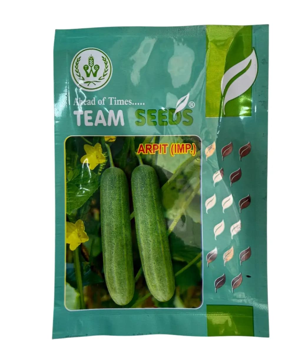 Team Seeds F1 Hybrid Arpit Cucumber Seeds Early High Yield Variety - Image 1