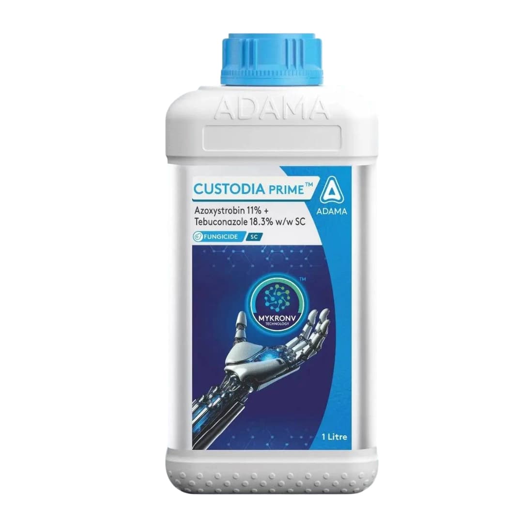 Adama CUSTODIA PRIME Azoxystrobin 11% + Tebuconazole 18.3% SC Fungicide, Dual Action, Effective For Multiple Crop Diseases Control - Image 1