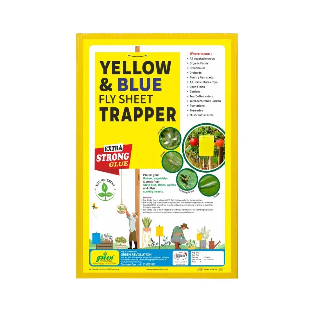 Eco Sticky Trap - A4 Size, Combo Of Yellow and Blue Sticky Trap For The Insects. 
