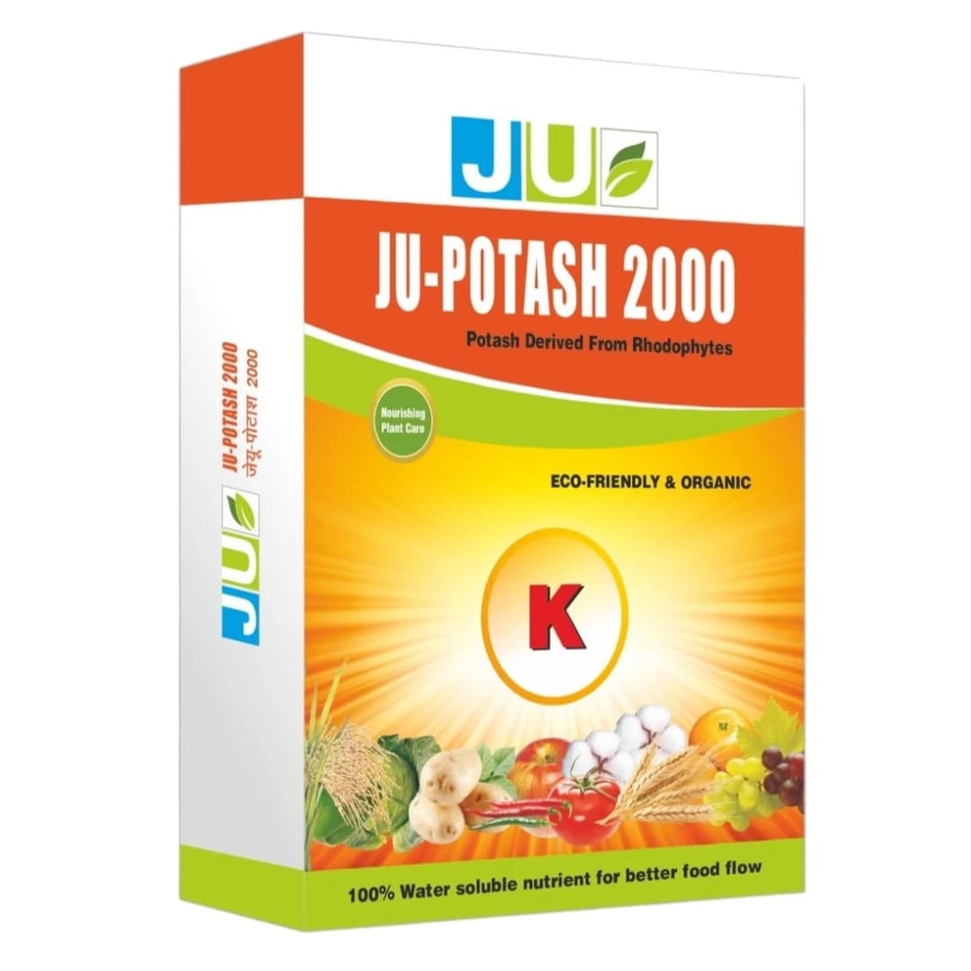 JU Potash 2000 Water Soluble Fertilizer, Which Is Derived From Rhodophytes Containing 20% of Organic Potash - Image 1