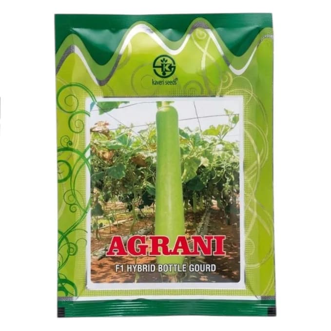 Kaveri Agrani F1 Hybrid Bottle Gourd Seeds - Image 1