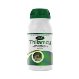 Agriventure Thilamcy Insecticide - Thiamethoxam 12.6% + Lambda-Cyhalothrin 9.5% Zc 1