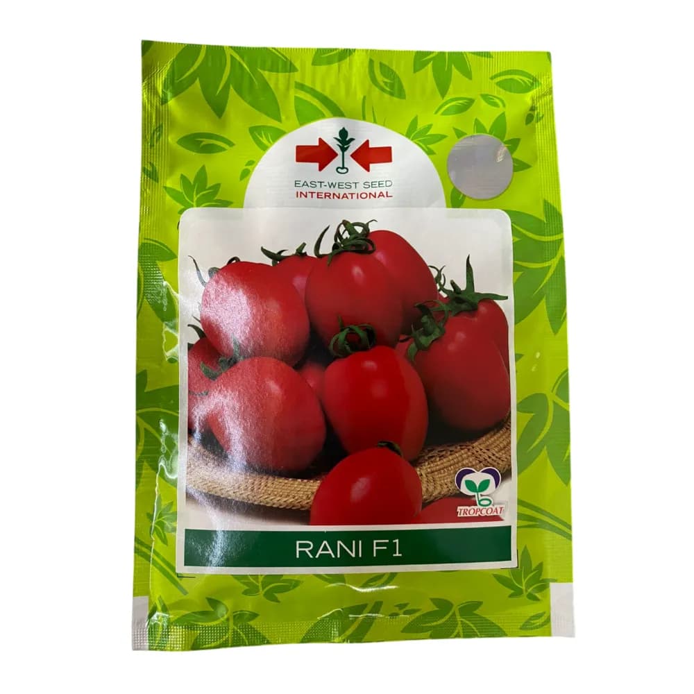 East West RANI F1 Hybrid Tomato Seed, Best For Determinate And Semi Spreading Plant