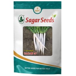 Sagar 47 F1 Hybrid Radish Seeds, Early Maturity Hybrid, White, High Yielding 1