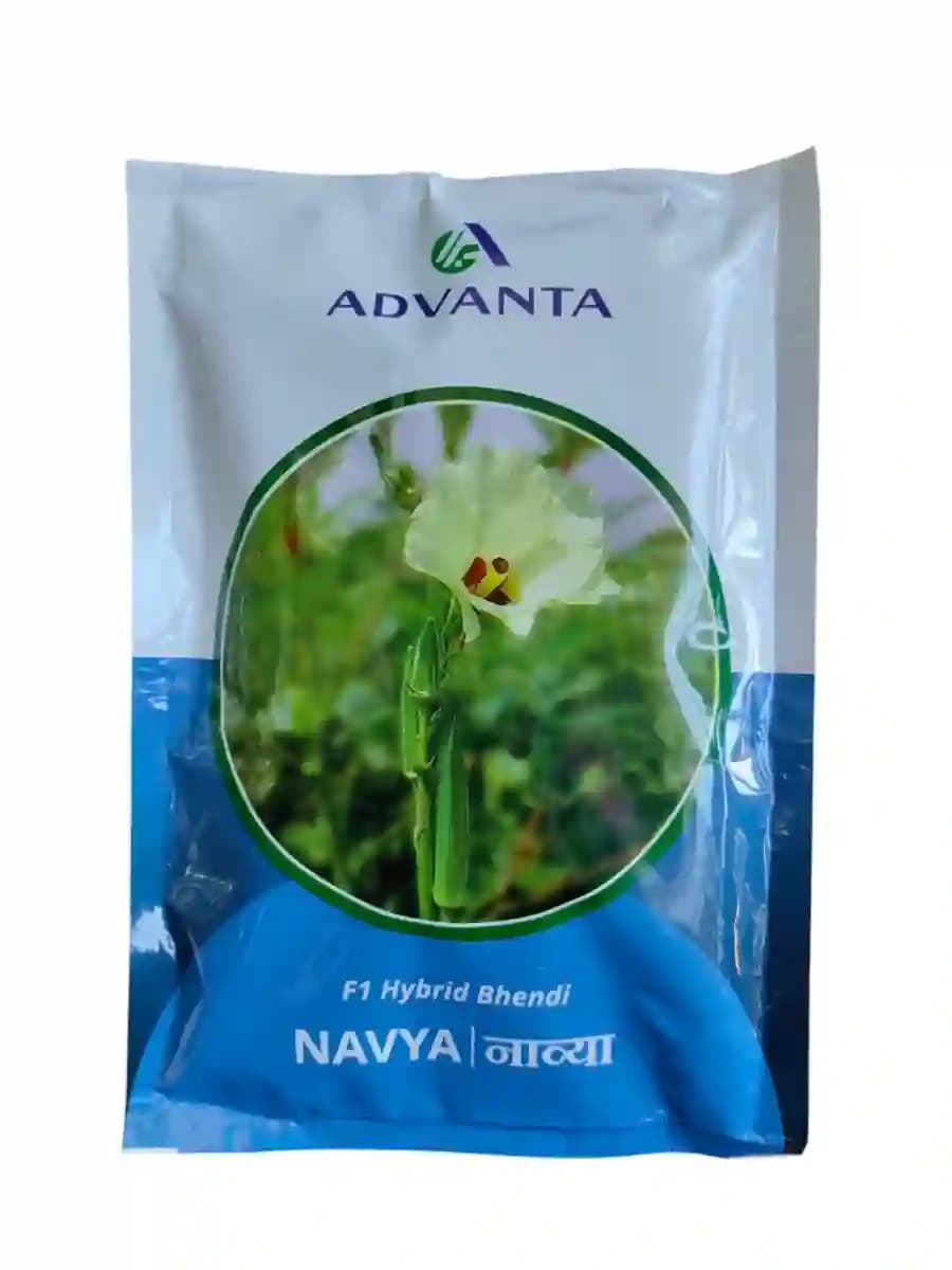 Advanta Navya F1 Hybrid Bhendi Seeds - Image 1