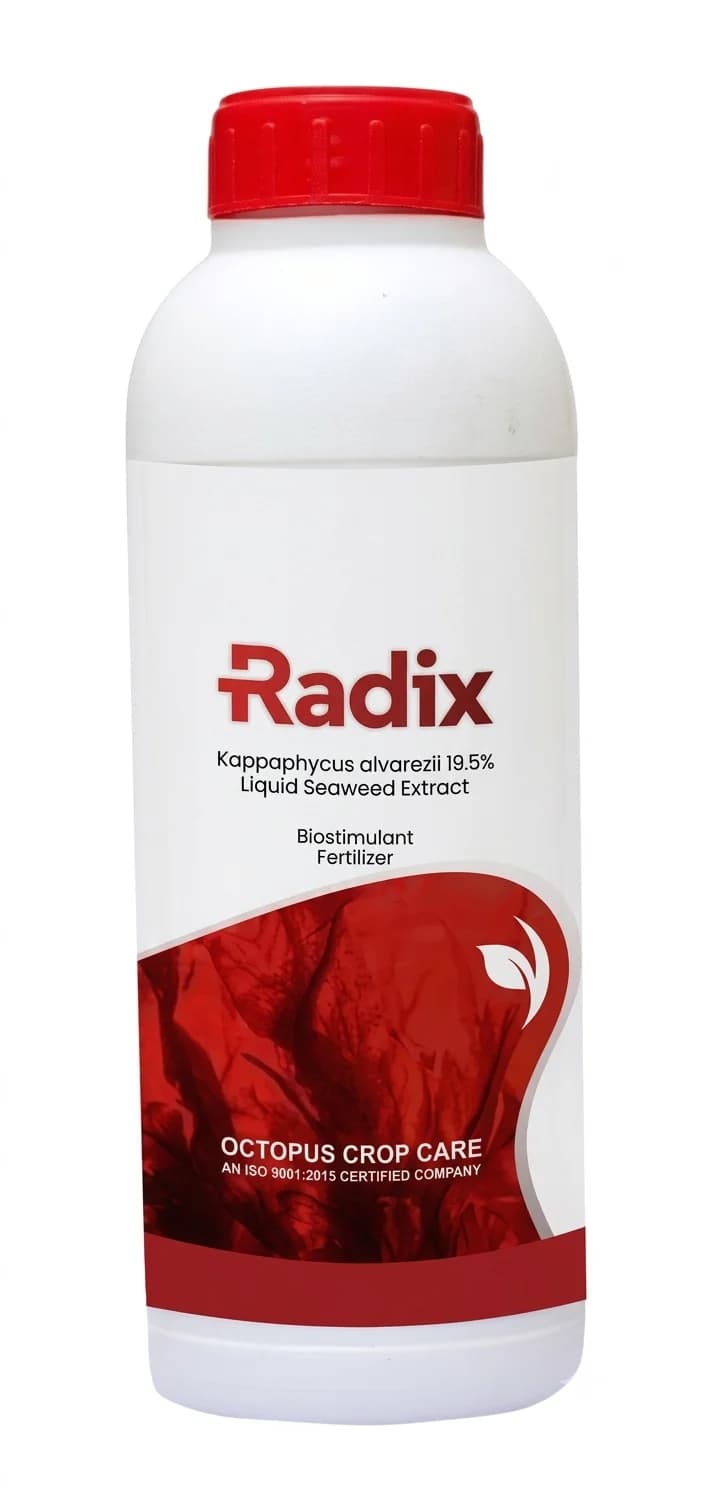 Octopus Radix Red Seaweed Liquid Seaweed Extract Biostimulant Fertilizer - Image 1