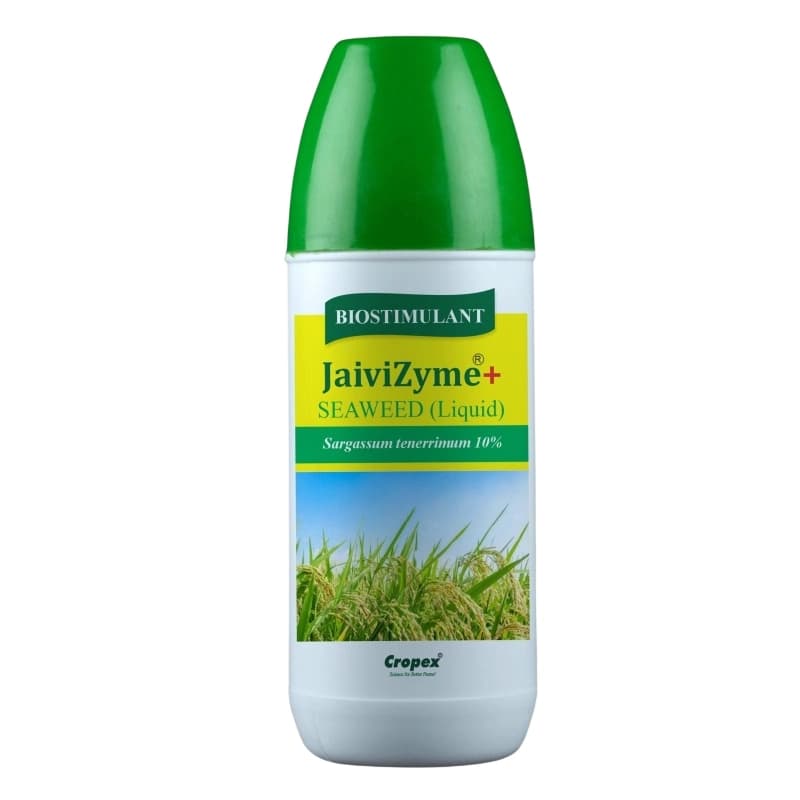 Cropex JaiviZyme+ Sargassum Tenerrimum 10% Seaweed Biostimulant, Improve Plant Growth, Root Development And Yield - Image 1