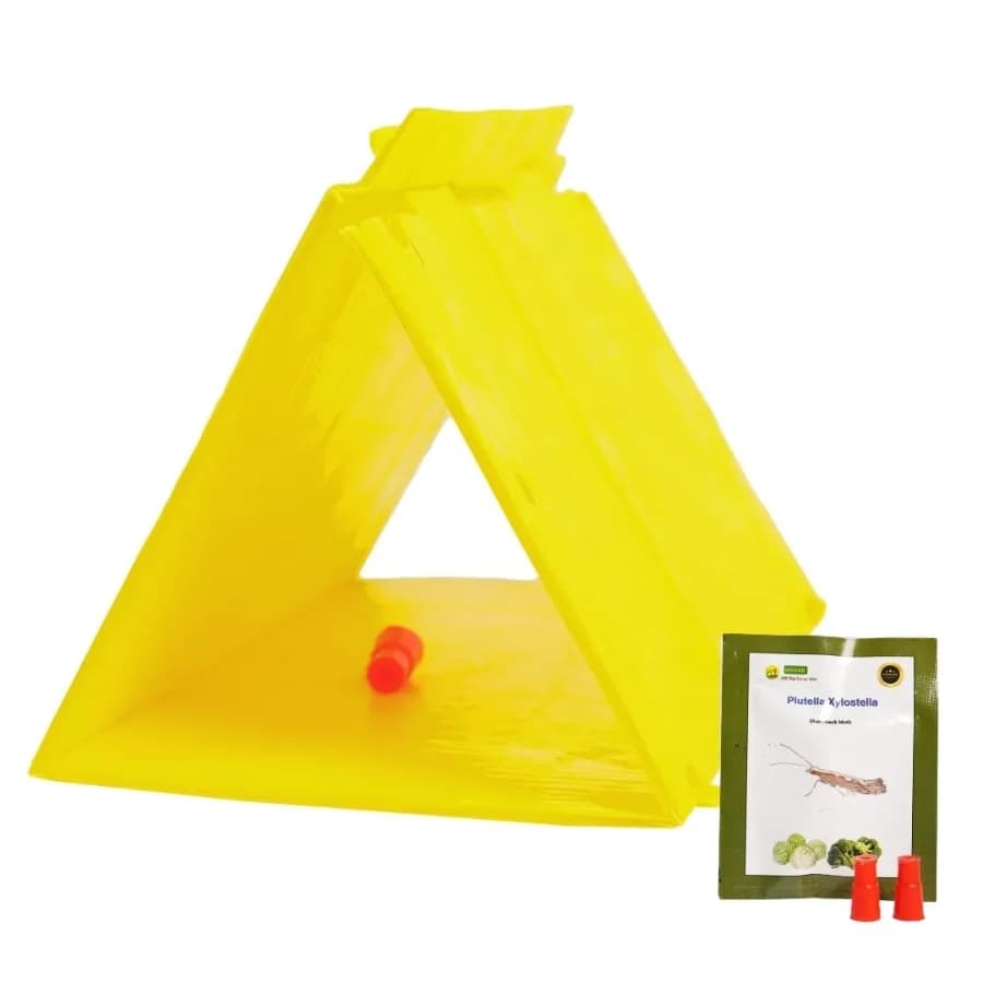 WAVAR Delta Trap with Plutella Xylostella Lure, Effective For Diamondback Moth Pest Control - Image 1