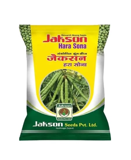 जैकसन हरसोना अनुसंधान हरा चना बीज उच्च उपज मूंग बीज - Image 1