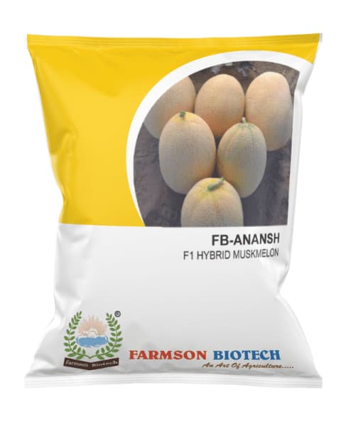 Farmson FB Ananas F1 Hybrid Muskmelon Seeds, Round Oval Fruits, Early Maturity