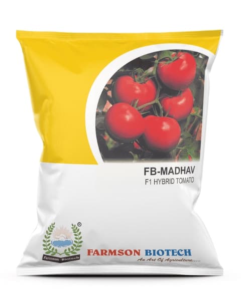 Farmson FB Madhav F1 Hybrid Tomato Seeds, High Yielding Variety Round Shape and Red Color