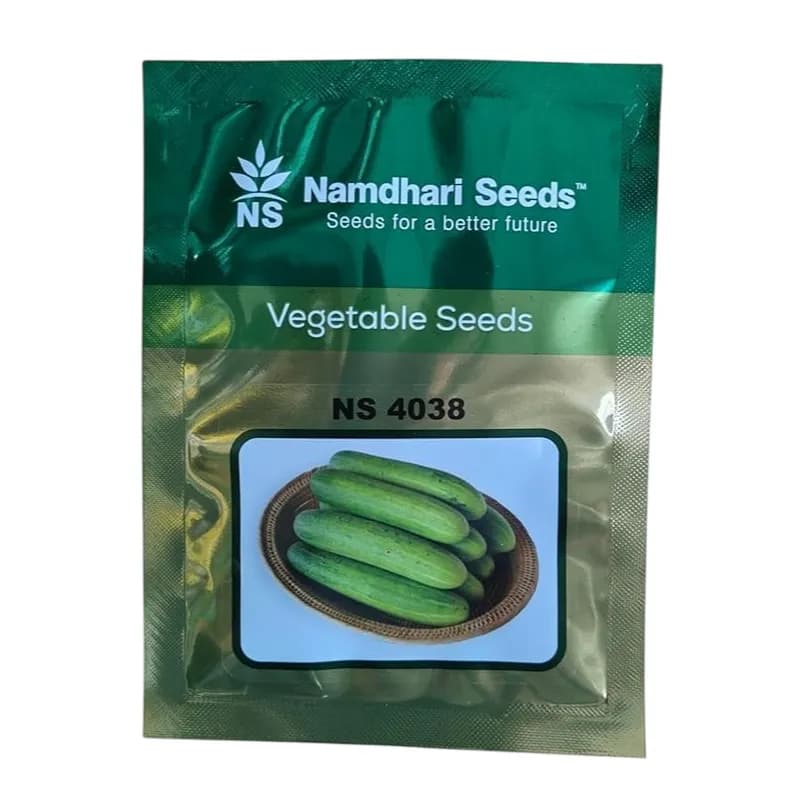 Namdhari NS 4038 F1 Hybrid Cucumber Seeds - Image 1
