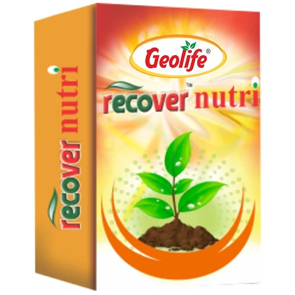 जियोलाइफ रिकवर न्यूट्री: पौधों की इम्युनिटी बिल्डर, गैर विषैले फफूंदी एंटीऑक्सीडेंट, फफूंदी रोगों के खिलाफ प्रभावी, पौधों में प्रतिरक्षा विकास