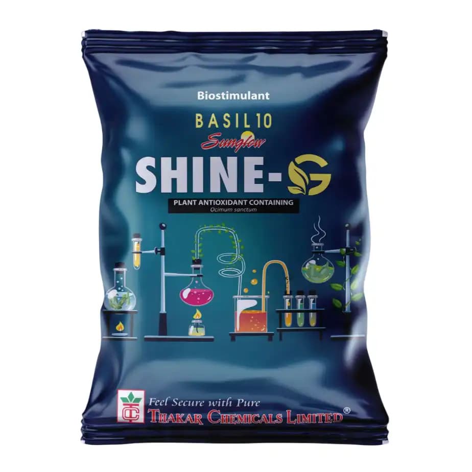 Thakar Shine-G Basil 10 Bio Stimulants Growth Enhancer Extract, Anti ROS Technology For Enhanced Plant Health - Image 1