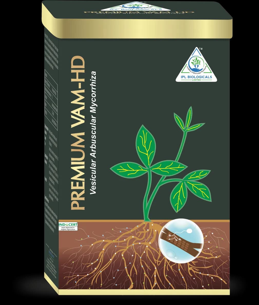 IPL Premium VAM HD (Vesicular Arbuscular Mycorrhiza) Bio Fertilizer, Boosts Overall Plant Development And Root Growth. - Image 1