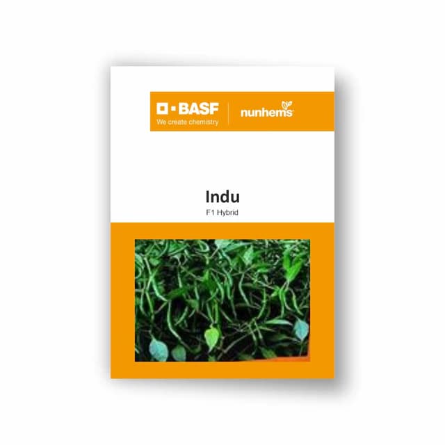 BASF Nunhems Indu F1 Hybrid Hot Pepper Chilli Seeds (1500 Seeds) - Image 1