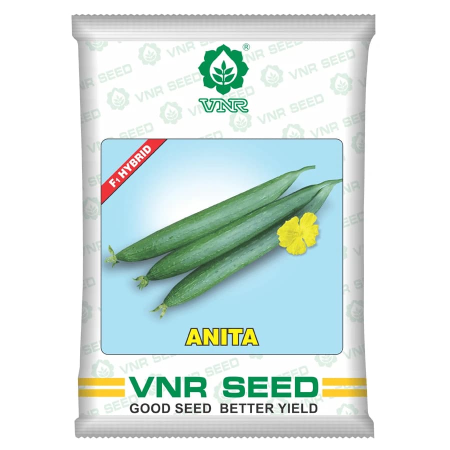 VNR Anita F1 Hybrid Sponge Gourd Seeds, High Yield, Early Bulking, Green Long Thin Fruits - Image 1