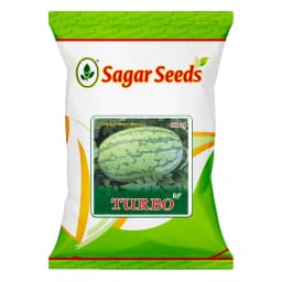 Sagar Turbo F1 Hybrid Watermelon, High Yield, Disease Resistance, Strong And Vigorous Growth 1