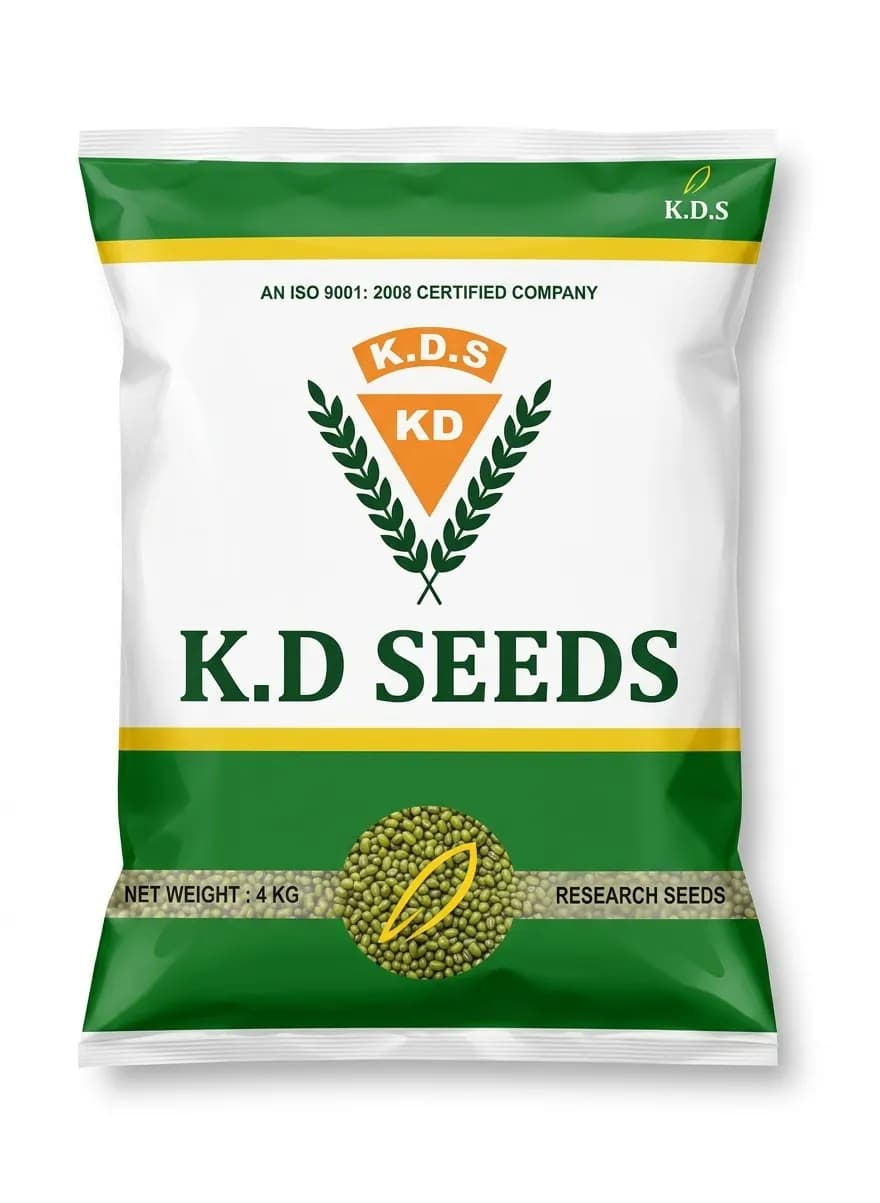 KD Seeds HYB-555 Moong Seeds, Early Maturity Variety - Image 1