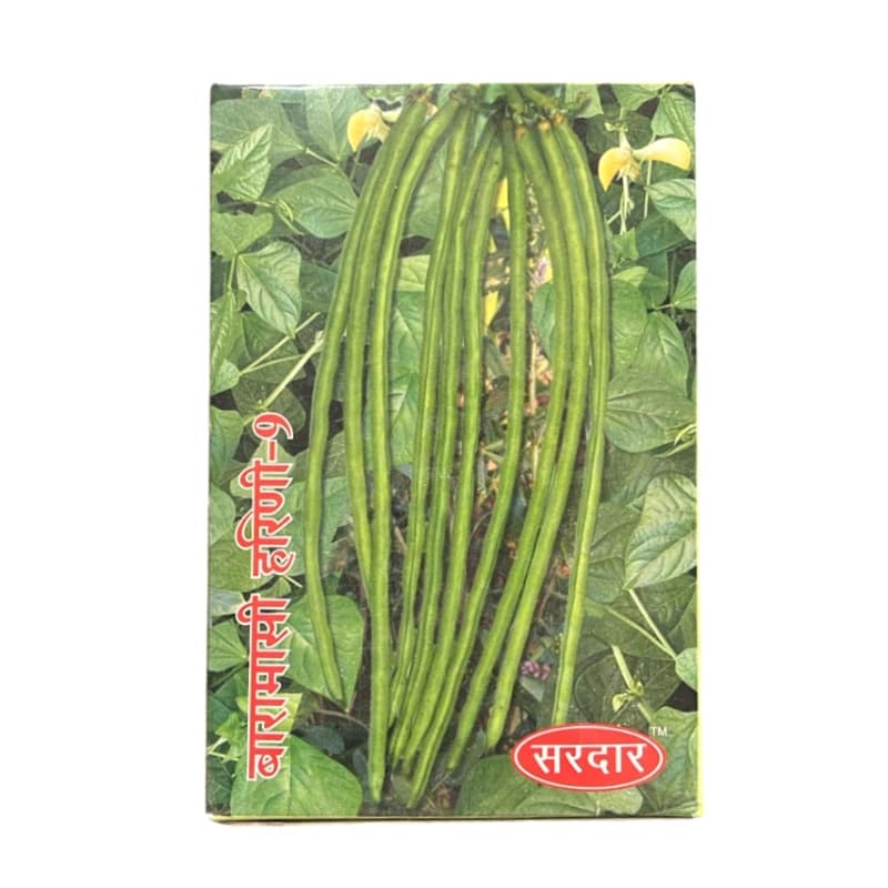 Sardar Baramasi Harini-9 Hybrid Cowpea Seeds, Multi-Picking And Suitable For All Seasons - Image 1