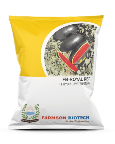 Farmson FB Royal Red F1 Hybrid Watermelon Seeds, Icebox Capsules Type Hybrid, Oval Shape - Image 1