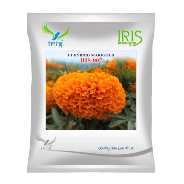 Iris IHS-007 F1 Hybrid Orange Marigold Seeds, Bright Flowers, Long Stems And High Yield - Image 1