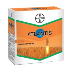 Bayer Atlantis Mesosulfuron Methyl 3% + Iodosulfuron Methyl Sodium 0.6 WDG Herbicide 1