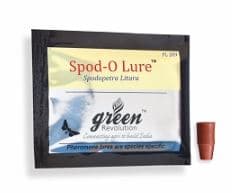 Funnel Trap with Spodo O Lure (Spodoptera Litura Pheromone) For Tobacco, Cotton, Red gram, Tomato and Chilli. 7