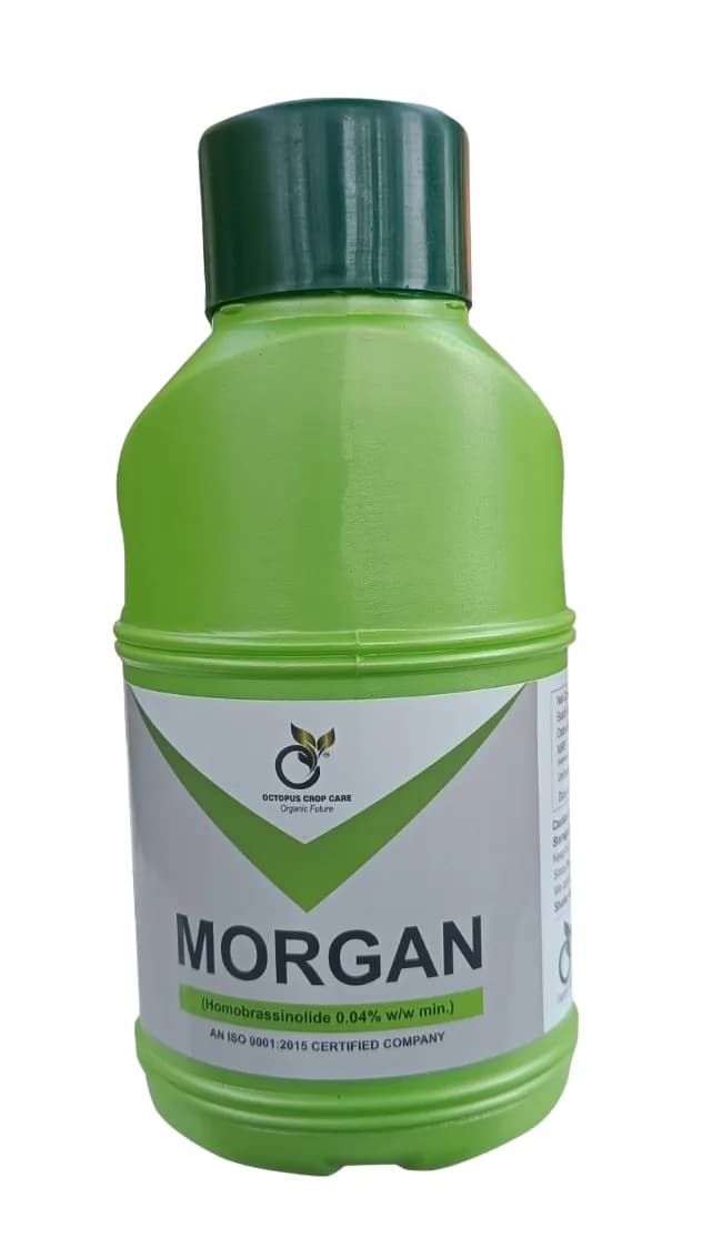 Octopus Morgan Homobrassinolide 0.04% Plant Growth Promoter, Enriched With Essential Multivitamins For Enhanced Plant Health.