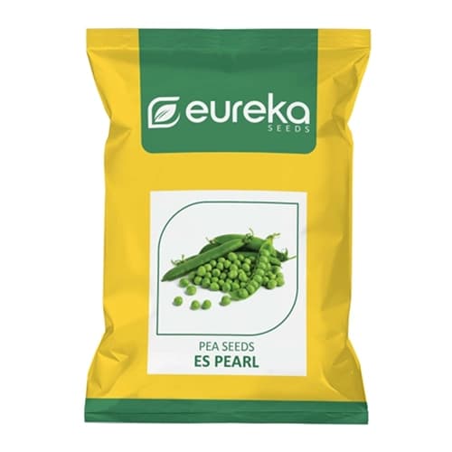 Eureka ES PEARL Improved Hybrid Pea Seeds, High Yield, Green Tender Pods, For Kharif and Rabi Seasons - Image 1