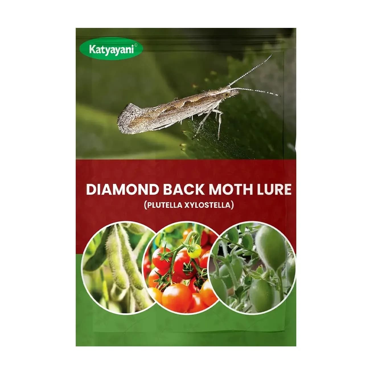 Katyayani Diamond Back Moth Lure (Plutella Xylostella), Effective Pest Control For Cruciferous Crops - Image 1