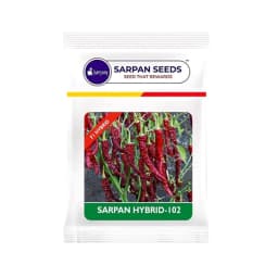 SARPAN SEEDS Sarpan Hybrid -102 Byadagi Chilli Seeds, Cherry Red Color, Suitable for Irrigated Cropping and Dryland Farming 1