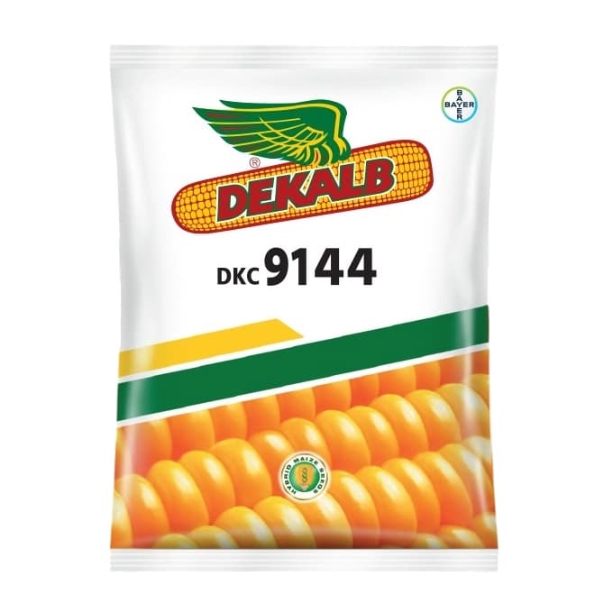Bayer Dekalb 9144 Hybrid Maize Seeds, Corn Seed, High Yield, Wide Adaptability, Suitable For Kharif & Rabi - Image 1