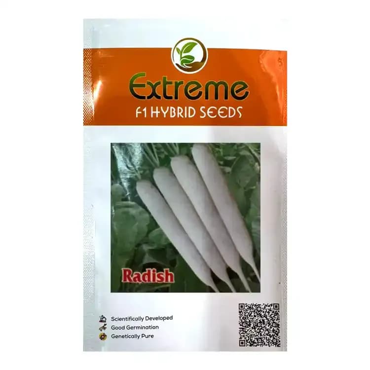 Extreme Mandakini F1 Hybrid Radish, Early Maturity Variety, Semi Erect Plant - Image 1