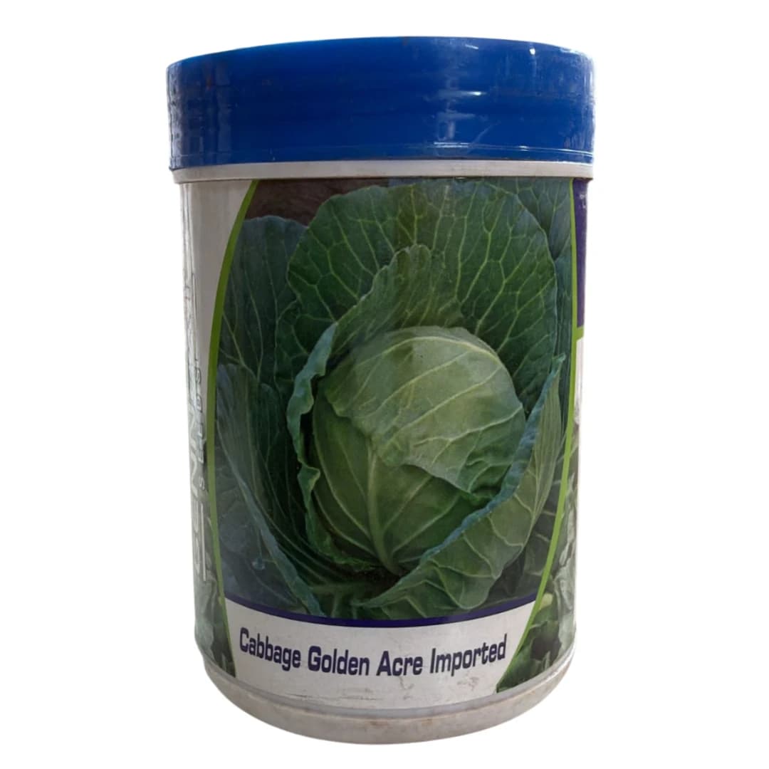 Gennext Golden Acre Imported F1 Hybrid Cabbage Seeds, Early Maturity Variety Suitable For Kharif and Rabi Seasons - Image 1