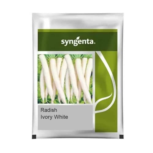 Syngenta Ivory White Radish Seeds - Image 1