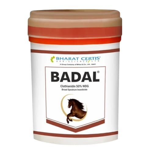 Bharat Certis BADAL Clothianidin 50% WDG Insecticide, Effective For White Grub, Termite & Sucking Pests In Cotton And Paddy Crops - Image 1