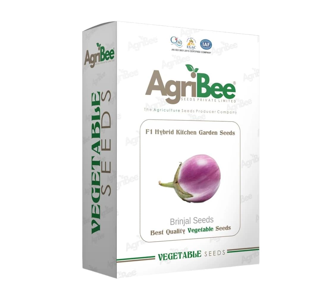 AgriBee F1 Hybrid Brinjal Seeds Pack Of 10 Pouches For Kitchen Garden (5gm x 10)  - Image 1