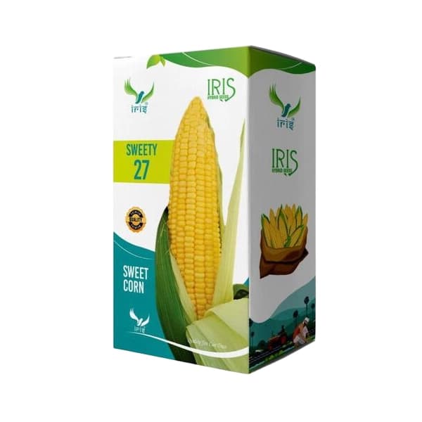 Iris Sweety-27 F1 Hybrid Sweetcorn Seeds, High Yield, Yellow Kernels And Sweet & Juicy - Image 1