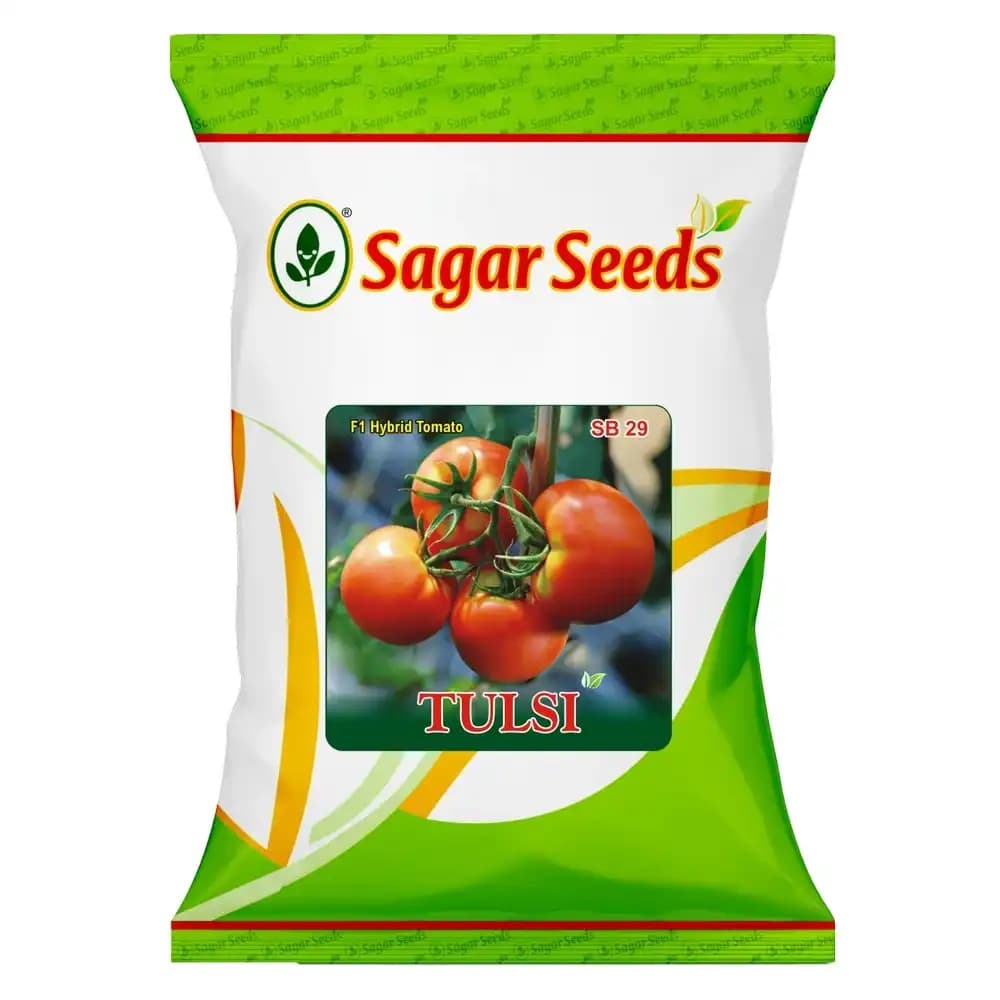 Sagar Tulsi F1 Hybrid Tomato Seeds, High Yield, Wide Adaptability, Oblate Flat Round Fruits - Image 1