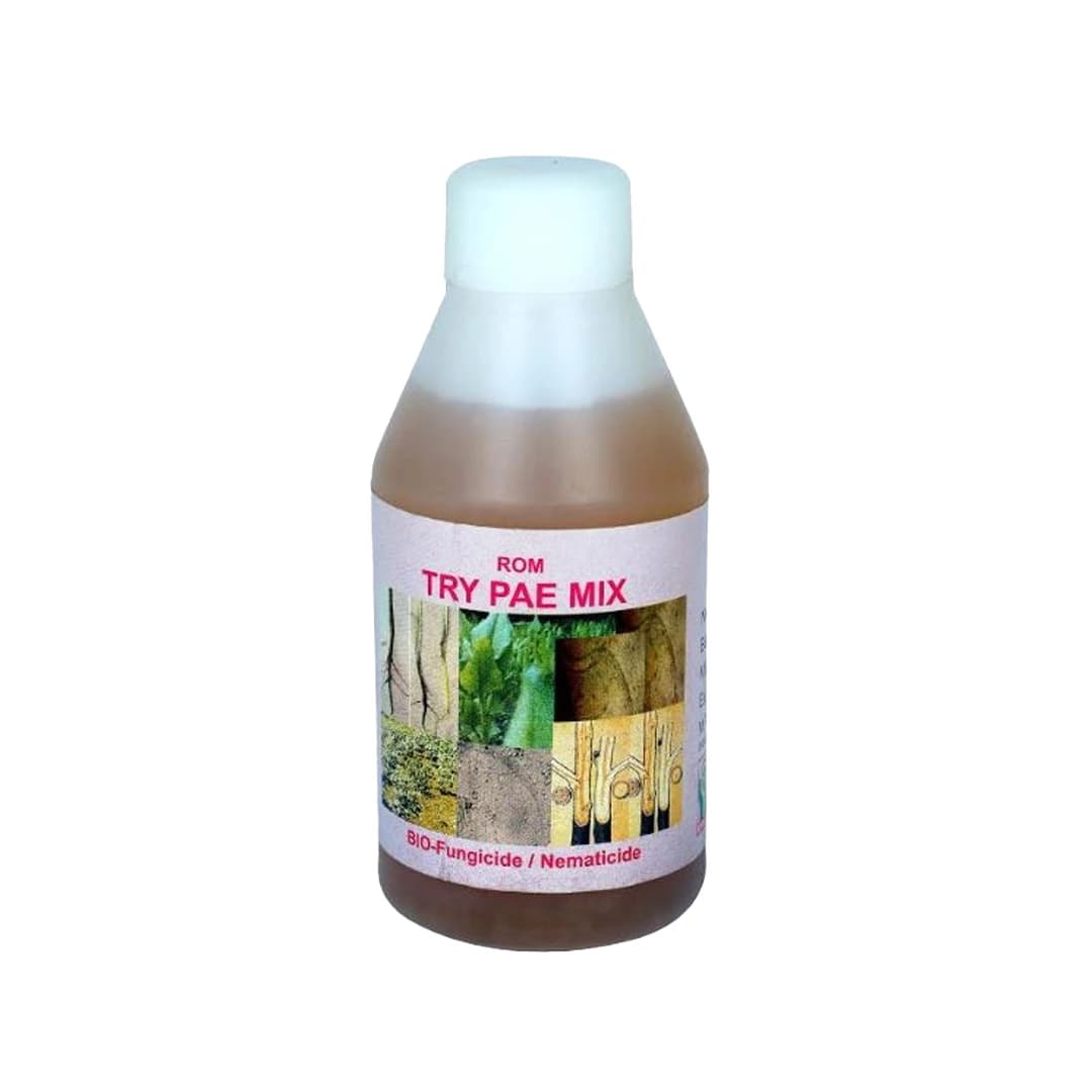 ROM Try Pae Mix (Bio Fungicide and Nematicide) Liquid Formulation Containing Trichoderma Viride and Paecilomyces Lilacinus In a 50:50 Proportion