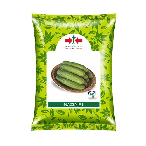 East West NAZIA F1 Hybrid Cucumber Seeds, Early Maturity, Vigorous Plant And Virus Tolerant - Image 1