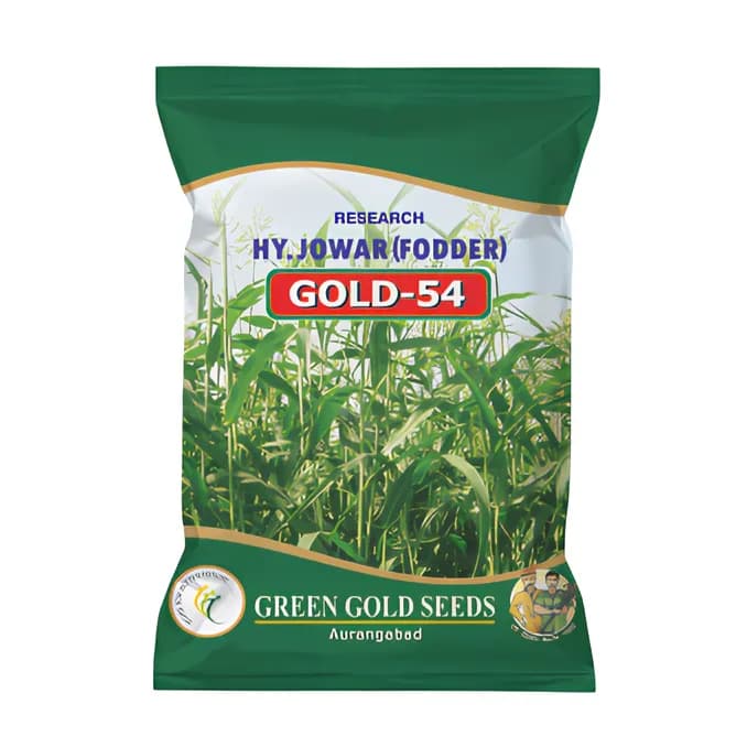 GREEN GOLD GOLD-54 Hybrid Sorghum Seeds, Multi-Cut, High Yield Fodder Jowar - Image 1