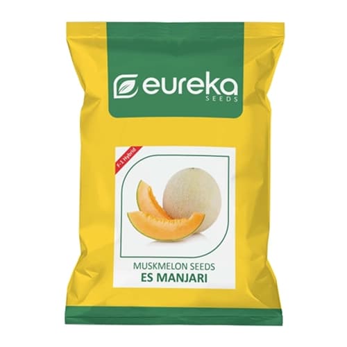 Eureka ES MANJARI F1 Hybrid Muskmelon Seeds, Orange Flesh, High Yield Variety - Image 1