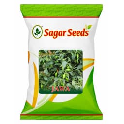 Sagar Jawa F1 Hybrid Chilli Seeds, High Yield, High Pungency, Smooth Surface, Pest Resistant 1